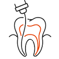 Endodoncia